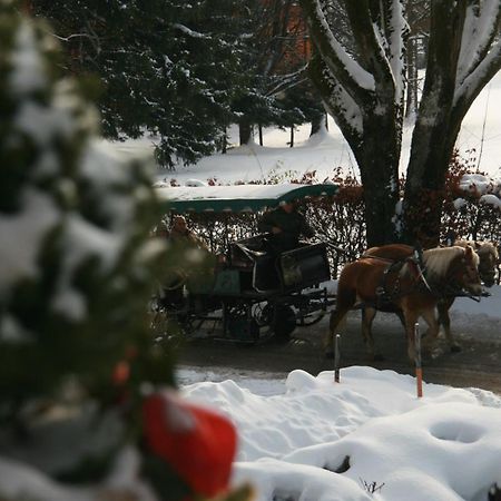 Pension Wolfgangsee Sankt Wolfgang im Salzkammergut Екстер'єр фото